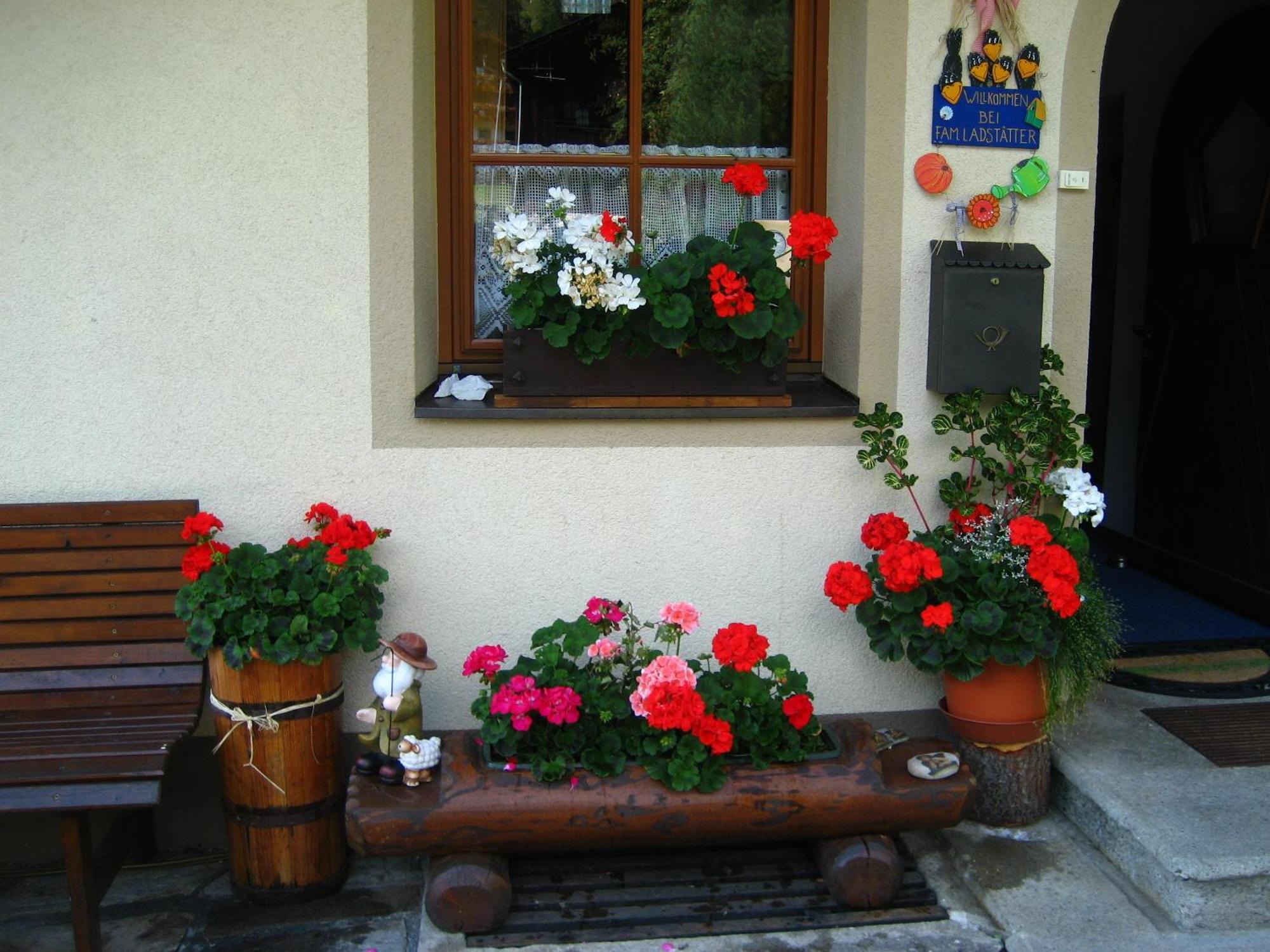 Haus Arnika Apartamento Sankt Jakob in Defereggen Exterior foto